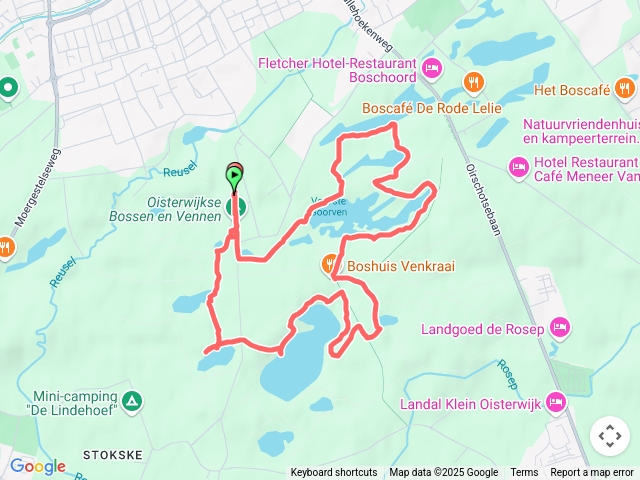 20250601荷蘭OisterwijkseBossenenVennen