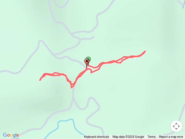 2025-04-03 破子寮山東峰 破子寮山