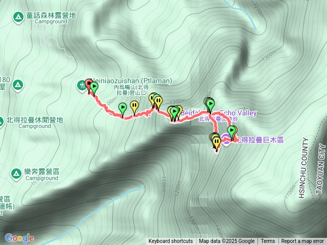 北得拉曼巨木o走