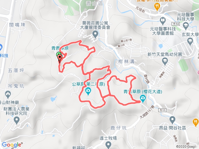 20200408青青草原S形