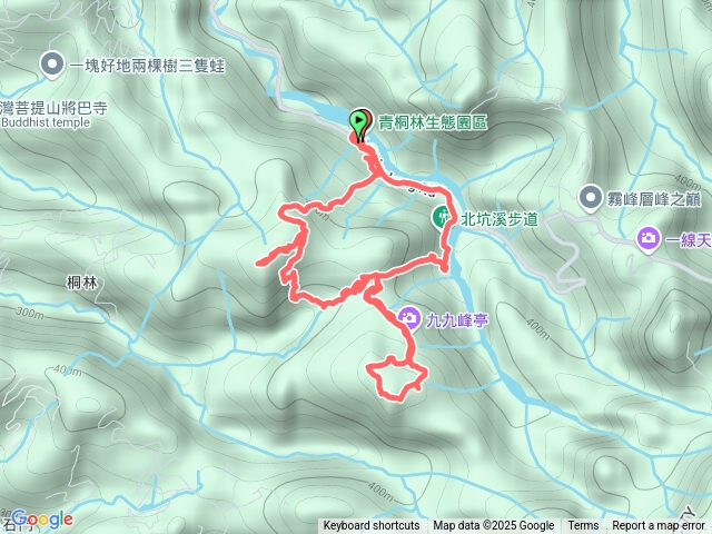 青桐林生態園區步道
