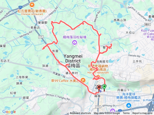 楊梅一日遊20241229