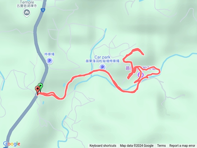 20241126-三灣落羽松