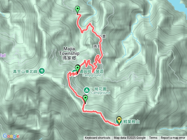 鱈葉根20250831預覽圖