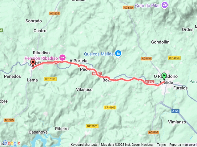 D132025/7/6Melide-Arzúa