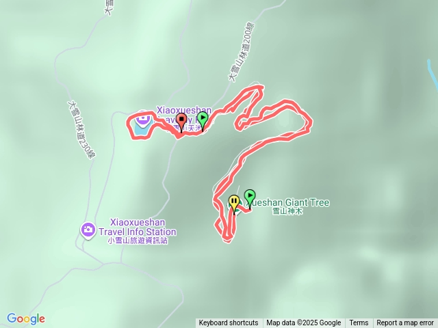 大雪山神木+天池預覽圖