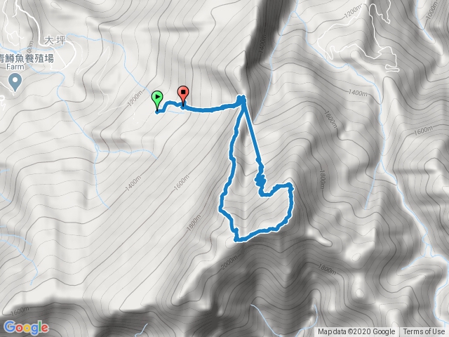 20200801杜鵑嶺-加里山