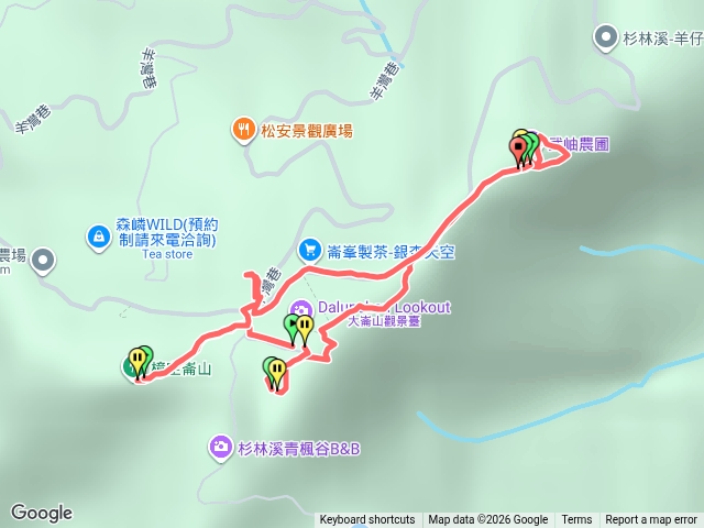 銀杏森林.大崙頭山-貓冬望山-民衆坪山-樟空崙山