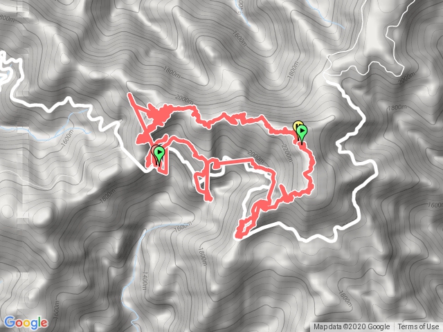 鳶嘴捎來捎來南峰O型