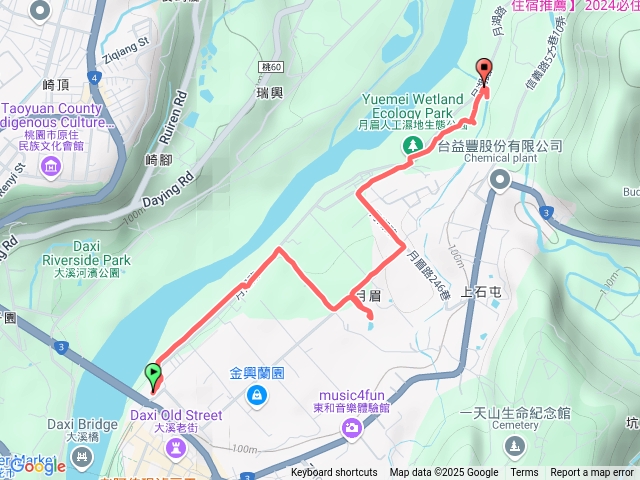 大溪月眉落羽松20250106