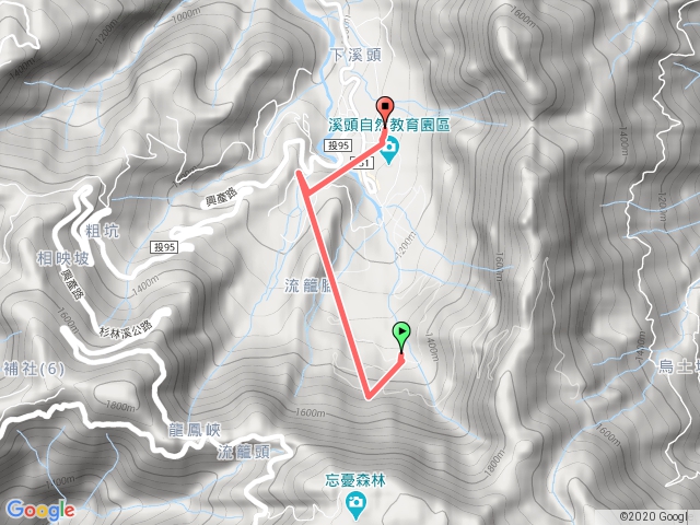 溪頭神木巨石大學池