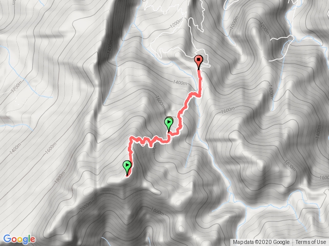 加里山_鹿場進