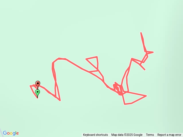 2025-12/21十一分山