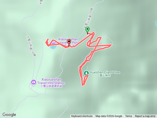 雪山神木預覽圖