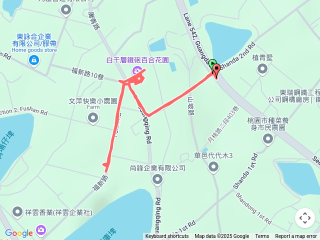 2025-05-05 桃園觀音白千層鐵砲百合─十三號坡站→白千層鐵砲百合花園→白千層林道→十三號坡埤塘
