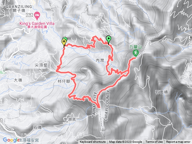 雞胸-九龍-大凍