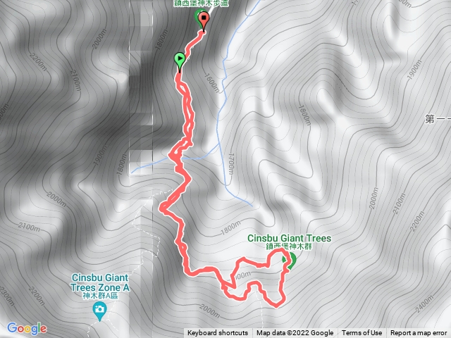 鎮西堡檜木群B區