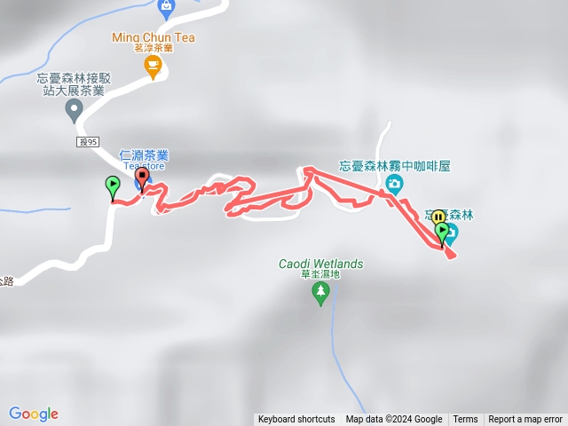 南投忘憂森林步道