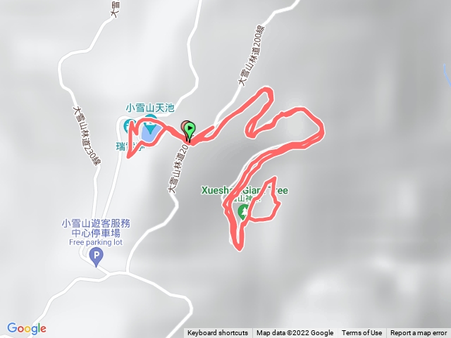 雪山神木天池