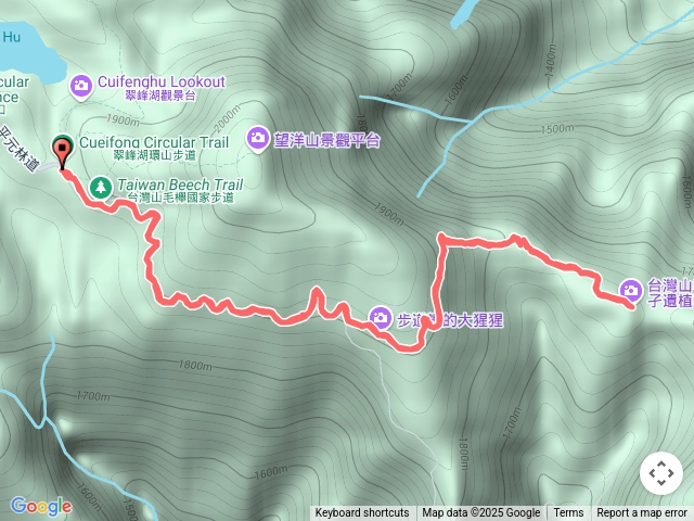 太平山山毛櫸步道