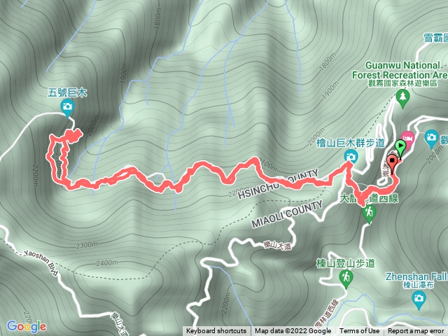 觀霧蜜月小徑、檜山巨木群步道來回