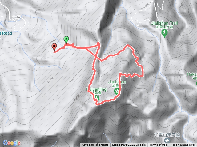 加里山杜鵑嶺O型