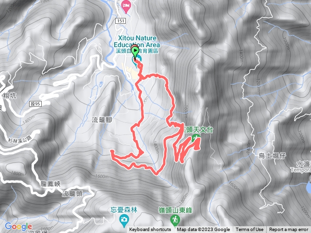 112 01 28溪頭自然教育園區賞鳥步道、登山步道上天文台，鳳凰林道下山