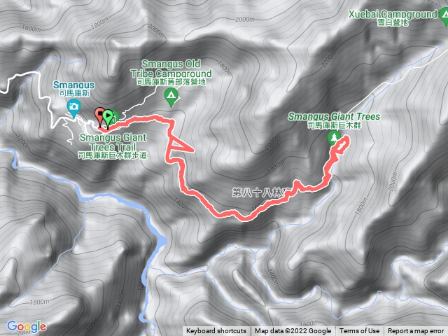 司馬庫斯巨木群步道