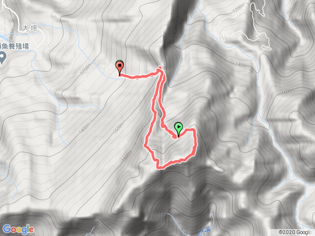 加里山小O路線-大坪登山口＞經鐵道路林道＞加里山2220m＞杜鵑山回程