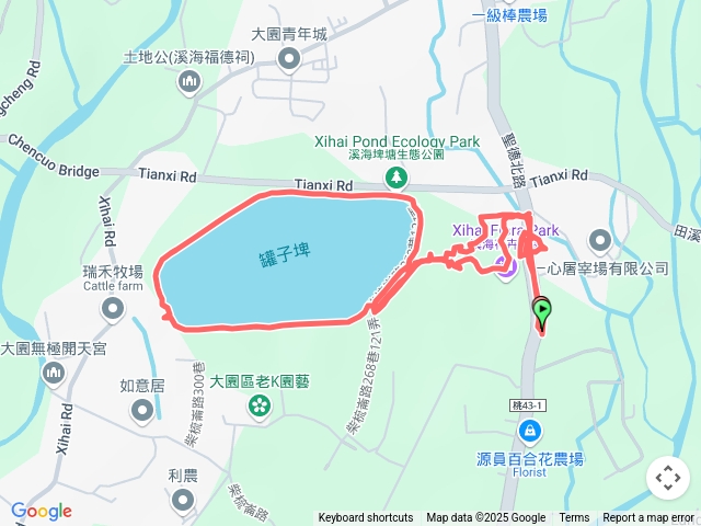 桃園彩色海芋季罐子埤塘