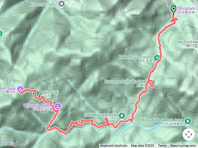 屋久島白谷雲水峽->繩文杉