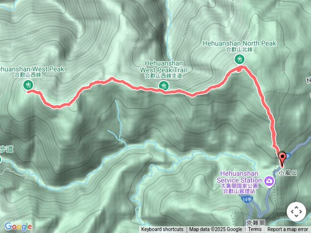 下雨合歡北西北
