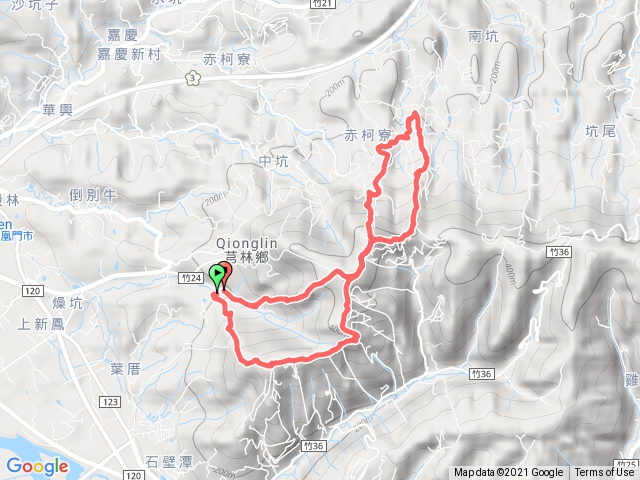 飛鳳山+大板根o型