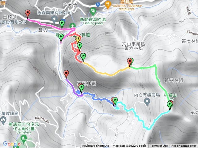 20210404雞心尖，中嶺山O型