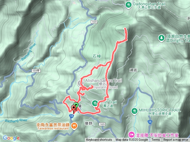 20251029石棹霧、雲、茶、霞、櫻、愛之道 霹靂山
