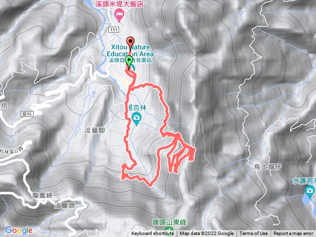 溪頭 賞鳥、登山步道-天文台O型健走