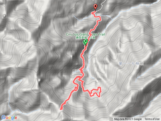 鎮西堡神木B區+A區+毒龍潭