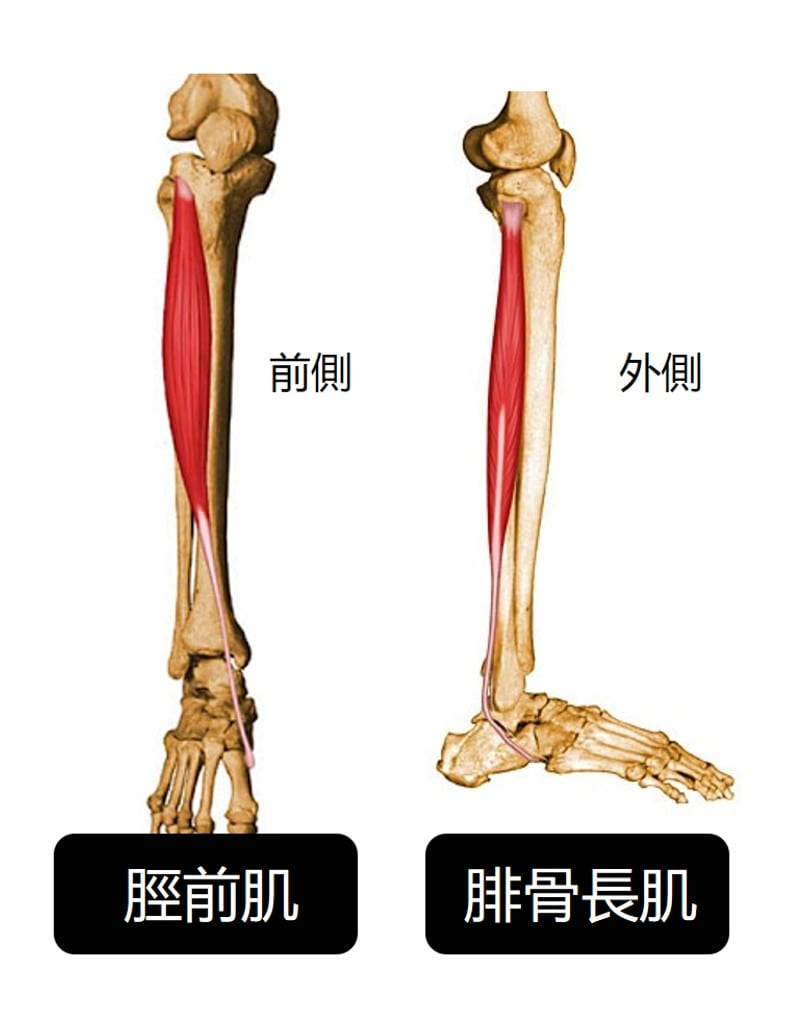 圖片145.jpg