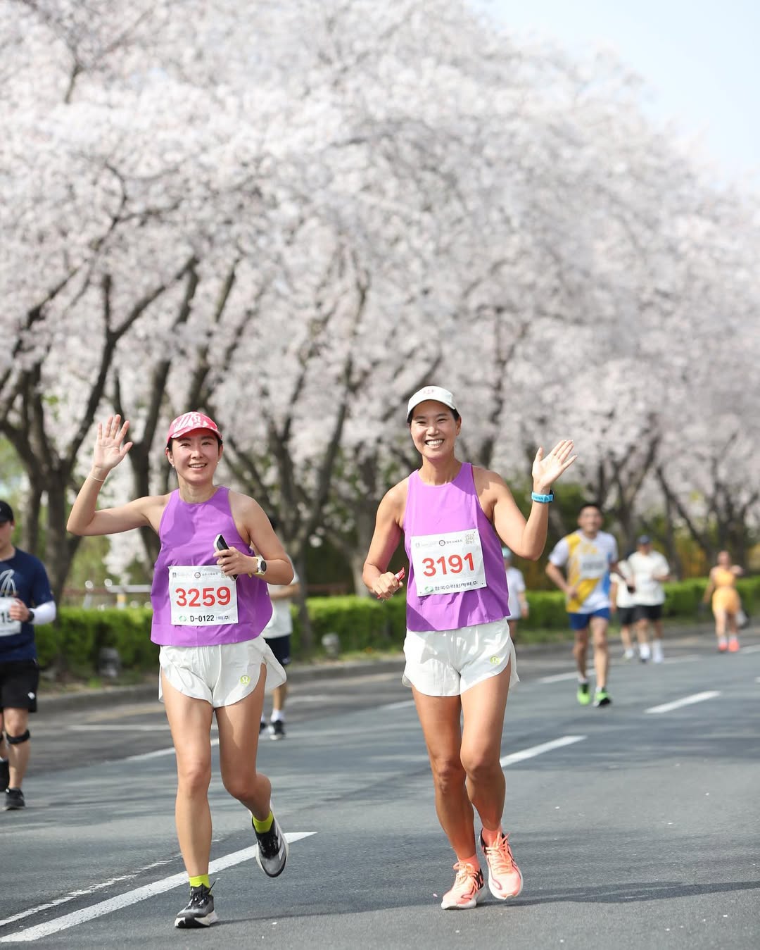 【跑旅】2026 慶洲馬拉松全攻略｜韓國最浪漫櫻花馬拉松 交通住宿、賽事亮點一次看