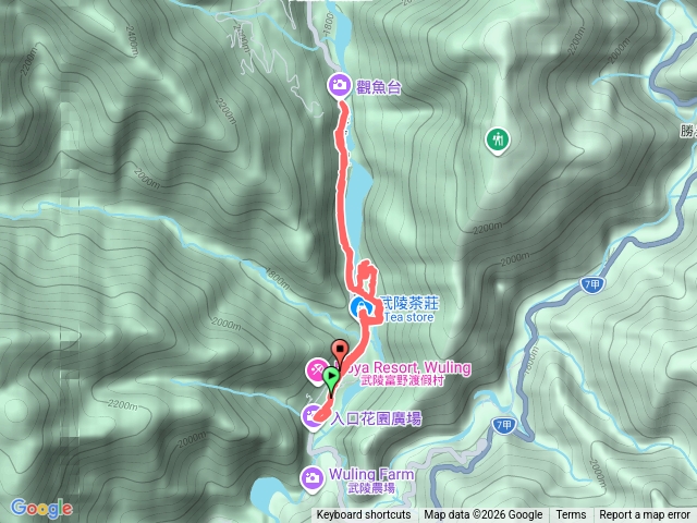 櫻花季_武陵農場.