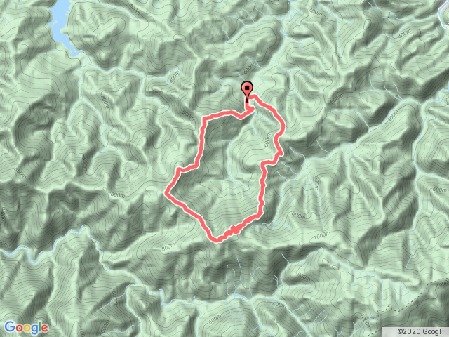 20200815-紀州寮山-倒肖楠山-鳥口尖山-金紙崙山-九芎根山 O型縱走