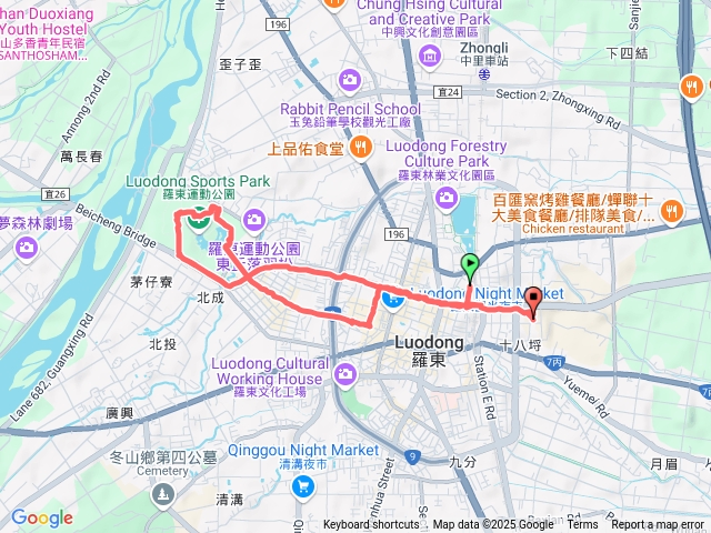 羅東運動公園東丘落羽松