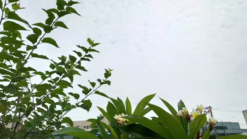 【健康】每天晨跑 10 公里竟罹癌病逝 
