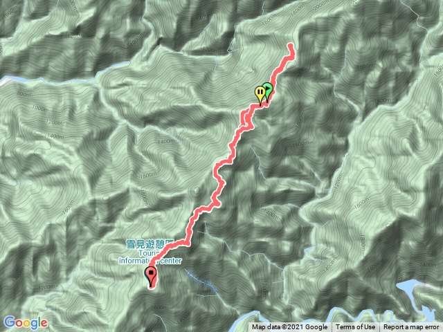 北坑山下大板根