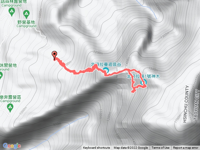 北得拉曼神木群