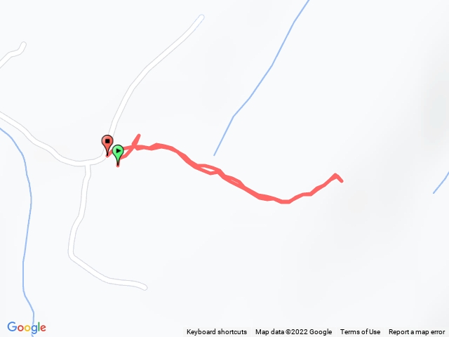 苗栗/後龍/網弦山