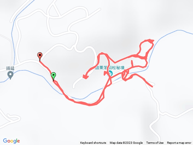 1120116三灣落羽松