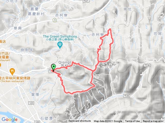飛鳳山大板根8字一圈