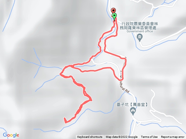 新北平溪.龍合橋番子坑古道.大樟樹