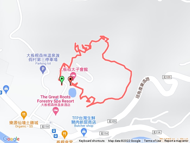 大板根森林之旅